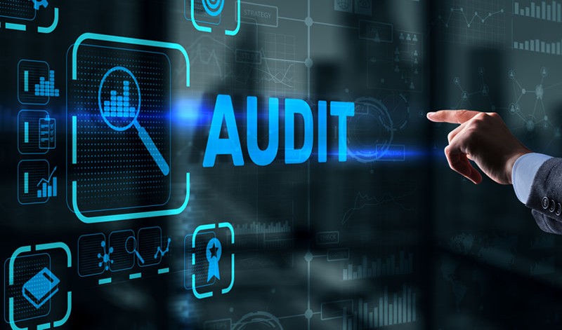 The Audit Department